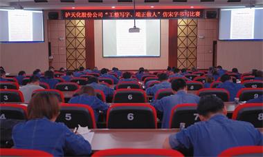 瀘天化股份公司團(tuán)委舉行仿宋字書寫比賽