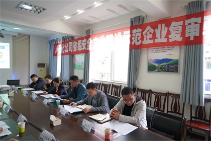 瀘天化股份公司通過“省級安全文化建設(shè)示范企業(yè)”復審驗收現(xiàn)場審核