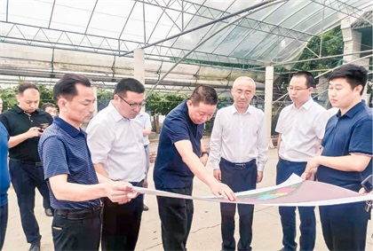 瀘州市委常委、組織部長曹斌率隊調研瀘天化納溪現(xiàn)代農(nóng)業(yè)種植園項目